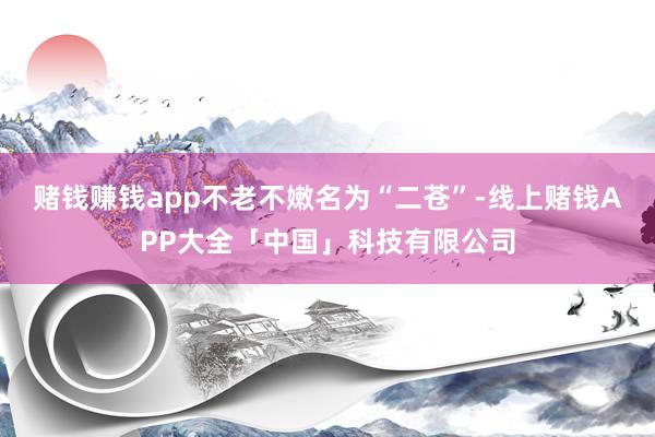 赌钱赚钱app不老不嫩名为“二苍”-线上赌钱APP大全「中国」科技有限公司