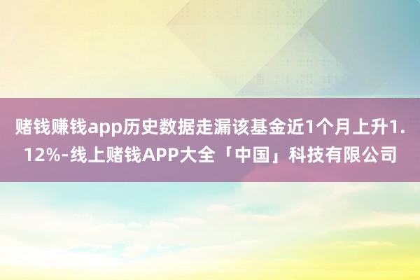 赌钱赚钱app历史数据走漏该基金近1个月上升1.12%-线上赌钱APP大全「中国」科技有限公司