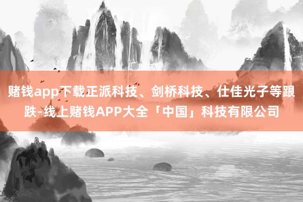 赌钱app下载正派科技、剑桥科技、仕佳光子等跟跌-线上赌钱APP大全「中国」科技有限公司
